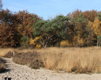 Wandelen in Uden, Volkel, Nistelrode, Vorstenbosch