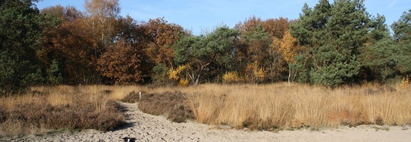 Wandelen in Uden, Volkel, Nistelrode, Vorstenbosch