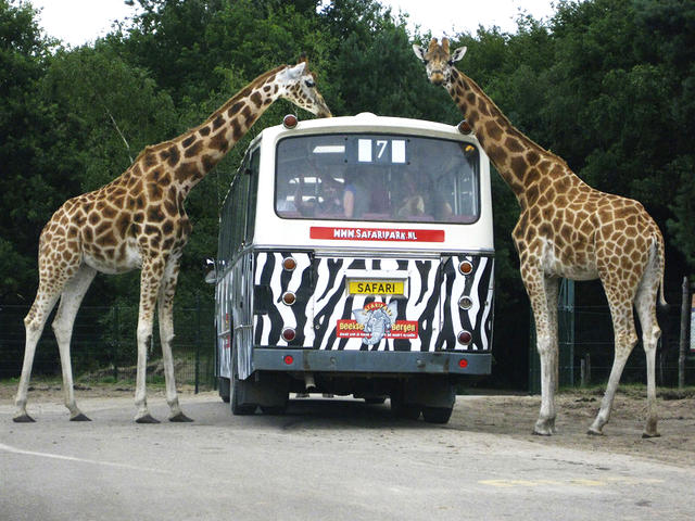 Safaripark Beekse Bergen