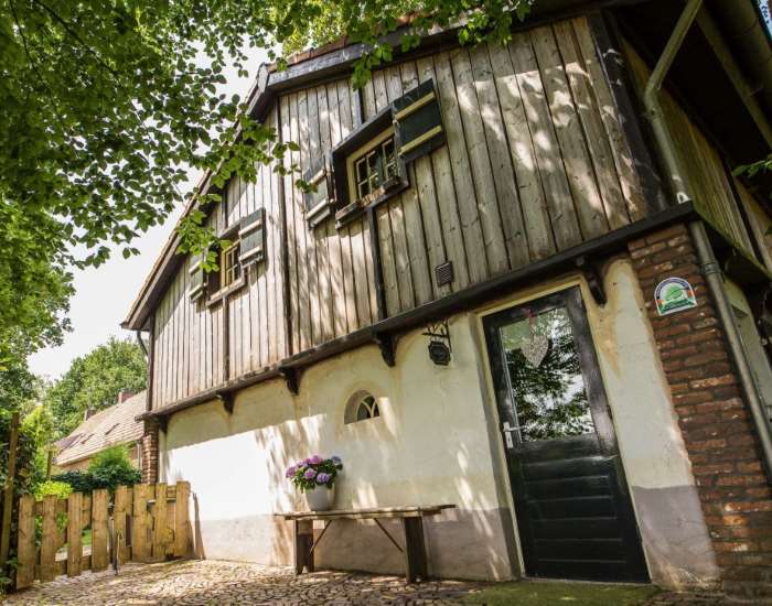 Vakantiehuis met 5 slaapkamers - BijRoozen