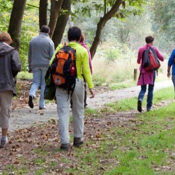 Wandelen in Maashorst met wandelgids