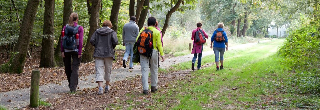 Wandelen in Maashorst met wandelgids